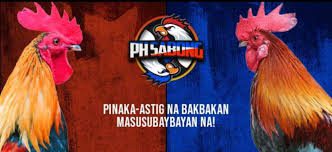 PH Sabong Live by MCW Philippines | Real-Time Sabong Action